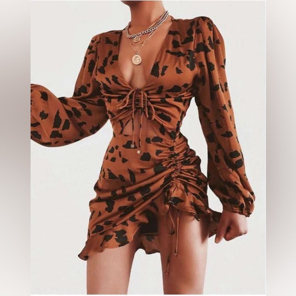 RUNAWAY Rust Animal Print Mini Dress